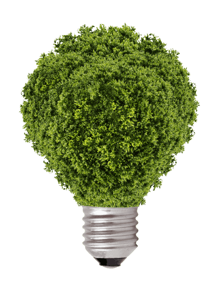 ecobonus qualificazione energetica